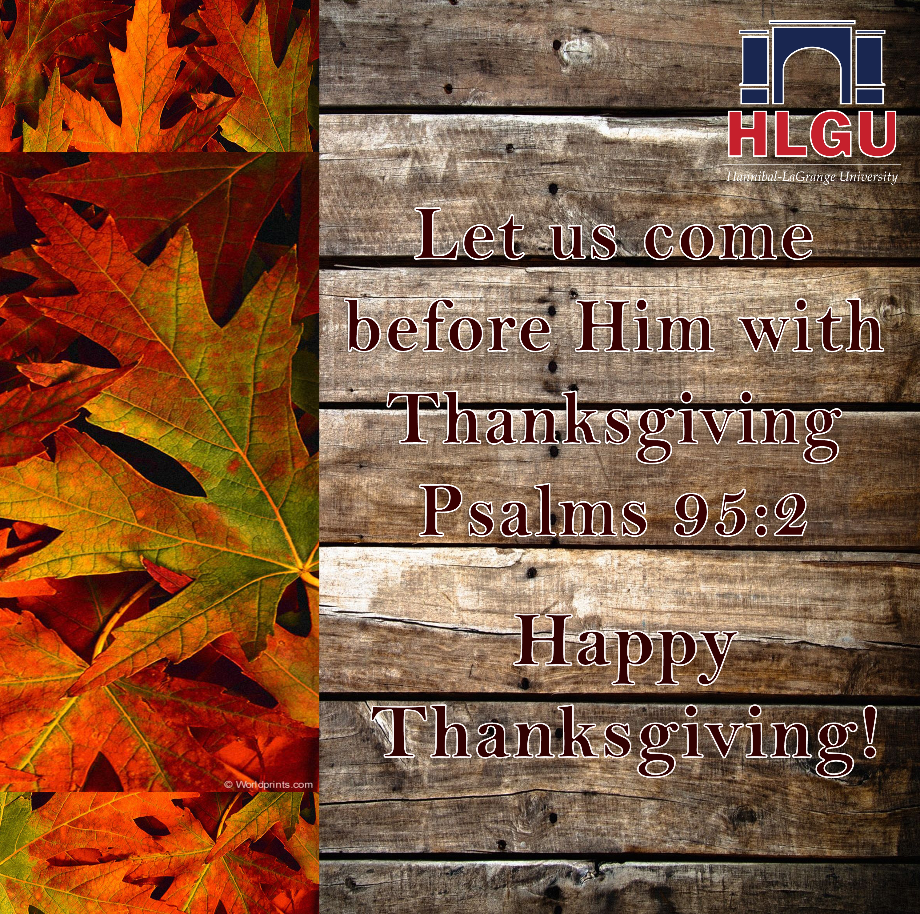 thanks-giving_110006053-012814-int